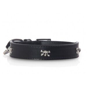 Designer Black Pet Collar with Silver Accents (NEW)